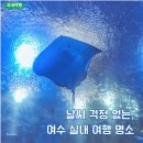 여수게스트하우스벨루가B | 여수 가족여행 날씨 걱정 없는 실내 명소 아쿠아플라넷