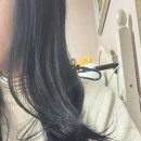 랩 아이디 | 다이슨 에어랩 i.d. 멀티 스타일러 앤 드라이어 레드벨벳/골드 실사용 후기