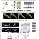 씨앗소프트