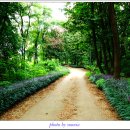 새암공원 이미지