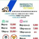 패밀리애견 이미지
