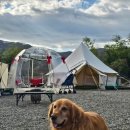 별빛든쉼 이미지