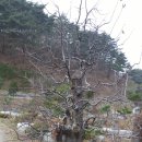 양희농장 이미지