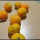 화수분민박 이미지