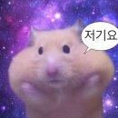 더리터고양 - 고양시 덕양구 화중로130번길 5-26 | 더리터고양