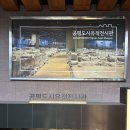 용인문화유적전시관 | 조선의 골목길을 만나는 곳, 공평도시유적전시관 완전 가이드