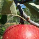 선재농장 이미지