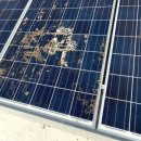일본 가고시마, 사쿠라지마 화산의 재로 고통받는 태양광 발전소 이미지