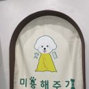 미용해주개 이미지