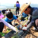 하점초교 이미지