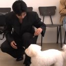 몽글몽글 이미지