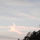 대복사 - 1227 | 대복사