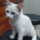 중앙로1길 이미지