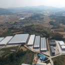 만지원농장 이미지