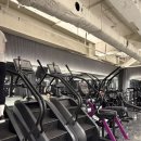 헬스카우 | 원당PT 카우짐 원당역점에서 PT받은 솔직 후기