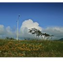 뭉개구름 이미지