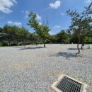 삼화리 동광 캠핑장 이미지