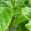 발화농장 이미지