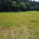 용인남사공인중개사사무소 이미지