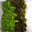 우미경로당 이미지