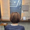 미장모수