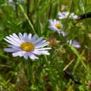 대종2리 이미지