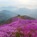 4월 5일 번개산행 여수 영취산 진달래 축제 (34명/45명중) 이미지