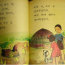 어리닭