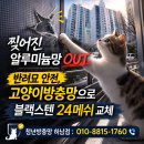 신안강변2 | [공지] 하남 창우동 꿈동산신안아파트 베란다 대창 3개 블랙스텐 방충망, 고양이방충망 교체 시공 후기