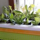 소덕농장 이미지