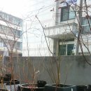 아름농장 이미지