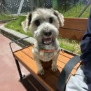 (주)더지엔 이미지