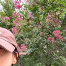 위더스 민박 이미지