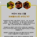 호주네이쳐스