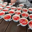 강월초교 | 양천구태권도 추천, 아이가 즐겁게 다니는 강월초태권도 후기