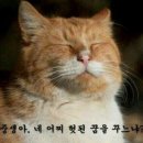말보로전자담배 이미지
