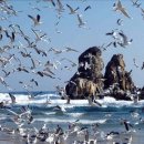 에벤에셀복지원 이미지