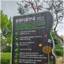 소사어린이공원 방범용CCTV | 대진,한도아파트 사이에 위치한 아이들이 놀기 좋은 놀이터와 맨발길이 있는 은빛 어린이공원을 찾아서😄