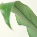 서울종로약국 이미지