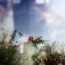 <필름> 수유 조아저씨사진관 후기, 가격, 결과물