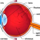 경희대남한의원 이미지