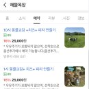 구례 여행 하동 아이랑 가볼만한 곳 해뜰목장 비오는날 방문 내돈내산 후기