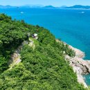 치유의 숲 이미지