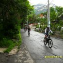 월정초등학교 이미지