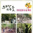 오두산 치유숲 이미지