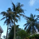 골드코스트 호텔 이미지