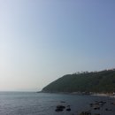 대변항2 이미지