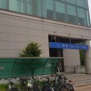 보물섬낚시터 | [애견동반낚시] 일산 보물섬낚시터