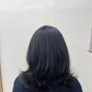 꼼무드헤어아산탕정점