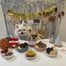잇츠몽몽 | [강아지 생일파티] 강아지 생일상 차려주기 (피피브레드 레인보우 컵케이크, 잇츠몽몽 맛보기 간식세트)